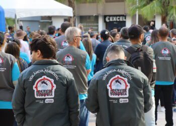 Dia D de combate à dengue mobilizou centenas de pessoas