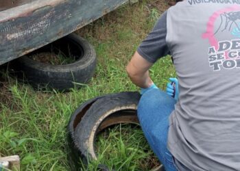 Município intensifica ações contra a dengue após aumento no número de casos