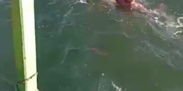 Tragédia no Rio de Janeiro