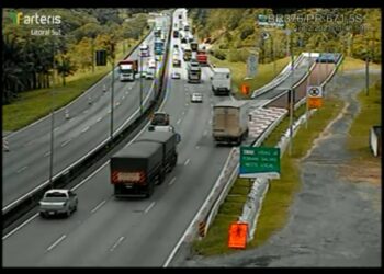 Área de escape da BR 376 evita mais uma tragédia