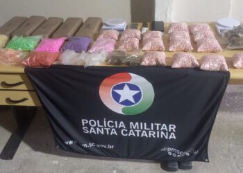 Polícia Militar apreende 22 mil comprimidos de ecstasy