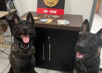 Polícia Civil cumpre mandado de internação contra adolescente suspeito de homicídio