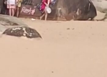 Picahdores estãos sendo procurados.