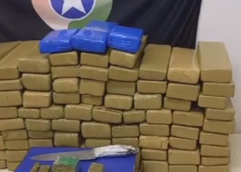 ROCAM de Itajaí deslocou-se para a cidade de Ilhota, na data de ontem, a fim de auxiliar nas buscas dos autores de duplo homicídio