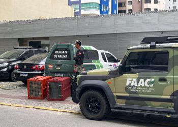 Homem é preso por maus tratos em Itapema