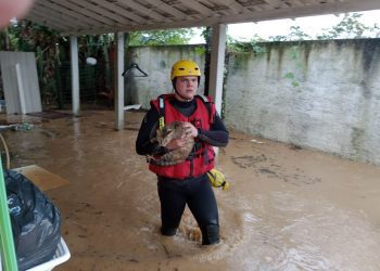 Chuvas em SC: estado tem 120 cidades com ocorrências e 54 municípios em situação de emergência