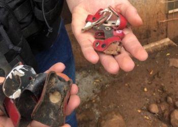 Operação “Galo da Madrugada”: Delegacia de Polícia de Xanxerê cumpre mandados de busca e prende homem em investigação contra rinhas de galo