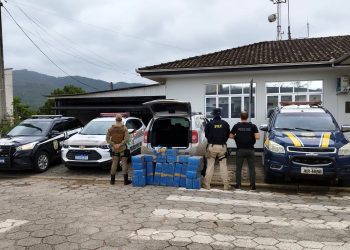 Ação conjunta PRF, PM e Polícia Civil apreende mais de 300 quilos de maconha no sul do estado