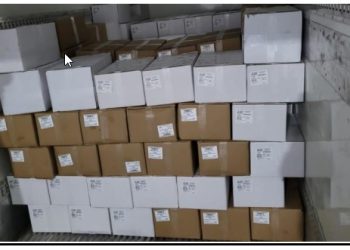 Polícia Civil deflagra operação contra furto de frutos do mar em Itajaí