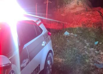 Criança é encontrada por policiais após desaparecer por horas em região de mata