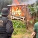 Polícia Federal e Ibama retiram construção irregular em terra indígena