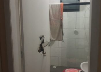 Policias Militares atendem lei Maria da Penha em Camboriú