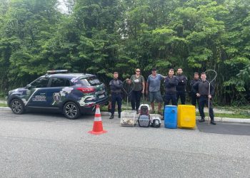 GAMF Resgata 42 Porquinhos da Índia Abandonados na Mata