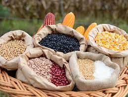 Secretaria deflagra ação com equipe técnica para implantar medidas emergenciais de socorro à Agricultura