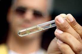 Joinville é selecionado pelo Ministério da Saúde para usar tecnologia de combate à dengue