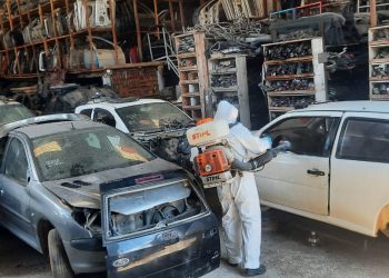 Combate à dengue em Itajaí ganha reforço nas atividades de prevenção e enfrentamento