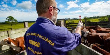 Governo do Estado publica edital para concurso público para médico veterinário da Cidasc