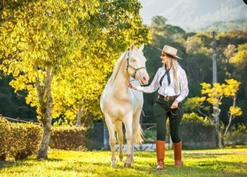 Para homenagear mulheres, Governo de Santa Catarina vai receber catarinenses com histórias inspiradoras
