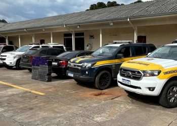 Mais de 300 kg de maconha são apreendidos em Concórdia