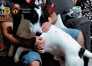 Polícia Civil de Santa Catarina Efetua Prisões em Caso de Envenenamento de Animal Doméstico