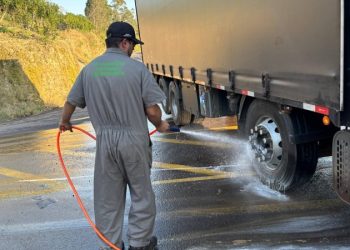 Barreiras Sanitárias Ativadas para Controlar Doença de Newcastle em Anta Gorda