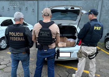 Força-Tarefa de Santa Catarina Realiza Grande Apreensão de Droga na BR-101