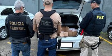 Força-Tarefa de Santa Catarina Realiza Grande Apreensão de Droga na BR-101