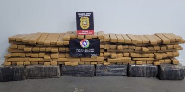 Operação Policial em São Lourenço do Oeste Resulta na Apreensão de Grande Carga de Maconha