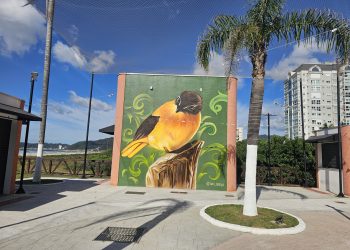 Navegantes realiza consulta pública para finalização do novo Plano Municipal de Cultura