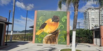 Navegantes realiza consulta pública para finalização do novo Plano Municipal de Cultura