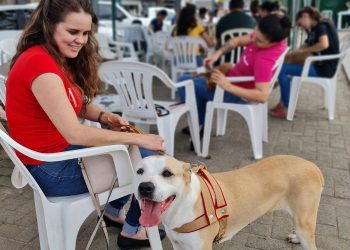 Último mutirão de castração do ano já tem mais da metade das vagas preenchidas