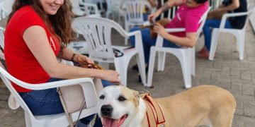 Último mutirão de castração do ano já tem mais da metade das vagas preenchidas