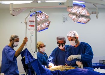 Retrospectiva 2024: Governo de Santa Catarina aportou mais de R$ 1,2 bilhão em incentivo hospitalar e cirurgias eletivas em 2024