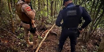 Homicídio Doloso: Polícia Militar Investiga Execução em Comunidade de SC